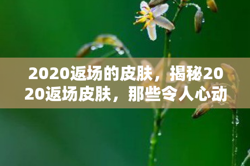 2020返场的皮肤，揭秘2020返场皮肤，那些令人心动的回归之作