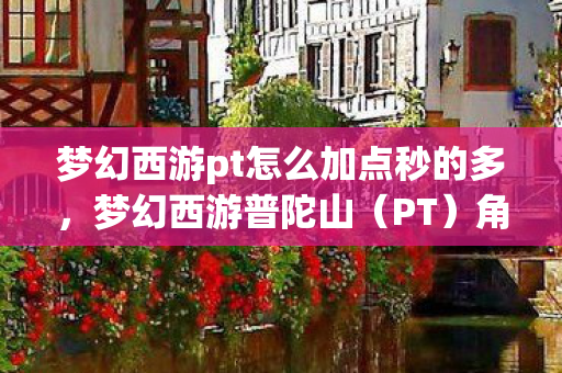 梦幻西游pt怎么加点秒的多,梦幻西游普陀山(PT)角色加点攻略 梦幻西游pt怎么加点秒的多,梦幻西游普陀山(PT)角色加点攻略