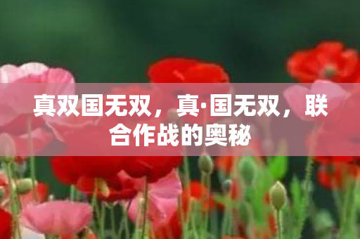 真双国无双，真·国无双，联合作战的奥秘