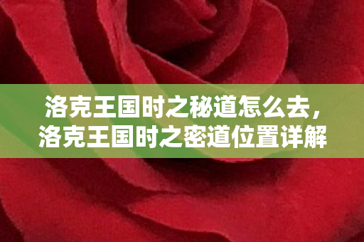 洛克王国时之秘道怎么去，洛克王国时之密道位置详解