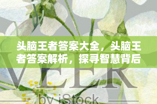 头脑王者答案大全，头脑王者答案解析，探寻智慧背后的秘密