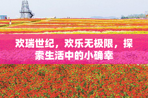 欢瑞世纪，欢乐无极限，探索生活中的小确幸