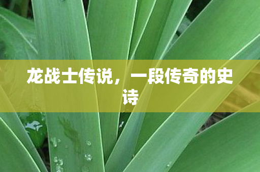 龙战士传说，一段传奇的史诗