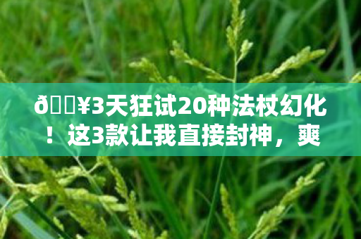 🔥3天狂试20种法杖幻化!这3款让我直接封神,爽到飞起! 🔥3天狂试20种法杖幻化!这3款让我直接封神,爽到飞起!
