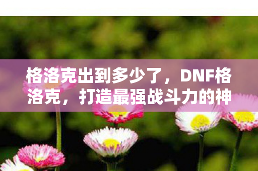 格洛克出到多少了，DNF格洛克，打造最强战斗力的神秘武器