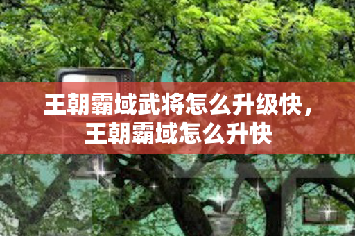 王朝霸域武将怎么升级快，王朝霸域怎么升快
