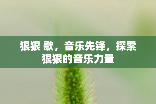狠狠 歌，音乐先锋，探索狠狠的音乐力量