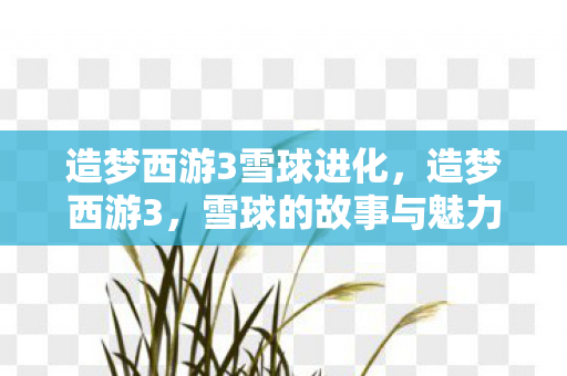 造梦西游3雪球进化,造梦西游3,雪球的故事与魅力 造梦西游3雪球进化,造梦西游3,雪球的故事与魅力