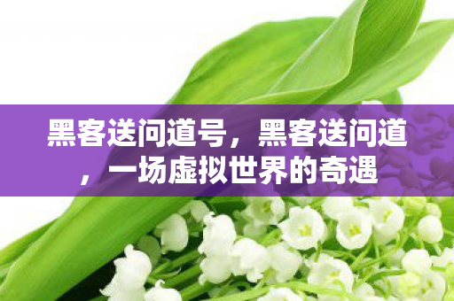黑客送问道号,黑客送问道,一场虚拟世界的奇遇 黑客送问道号,黑客送问道,一场虚拟世界的奇遇