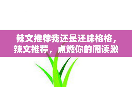 辣文推荐我还是还珠格格，辣文推荐，点燃你的阅读激情
