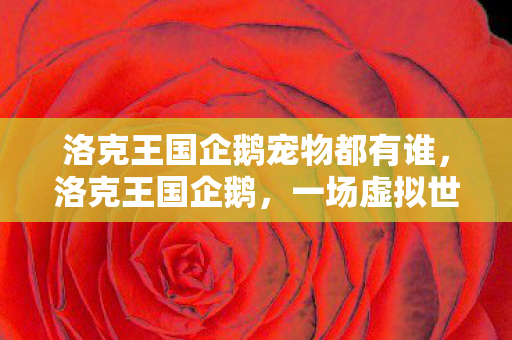 洛克王国企鹅宠物都有谁，洛克王国企鹅，一场虚拟世界的奇妙冒险