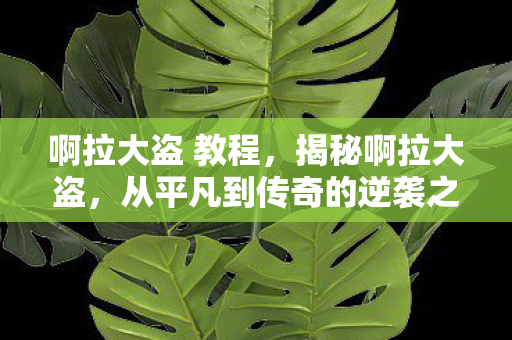 啊拉大盗 教程,揭秘啊拉大盗,从平凡到传奇的逆袭之路 啊拉大盗 教程,揭秘啊拉大盗,从平凡到传奇的逆袭之路