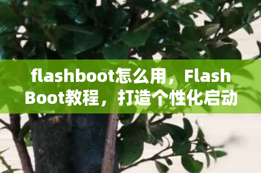 flashboot怎么用,FlashBoot教程,打造个性化启动盘,轻松安装与备份系统 flashboot怎么用,FlashBoot教程,打造个性化启动盘,轻松安装与备份系统