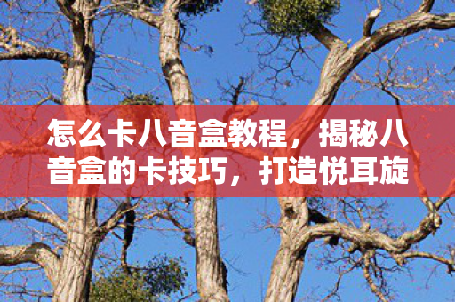 怎么卡八音盒教程,揭秘八音盒的卡技巧,打造悦耳旋律的秘诀 怎么卡八音盒教程,揭秘八音盒的卡技巧,打造悦耳旋律的秘诀