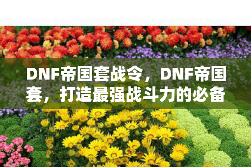 DNF帝国套战令,DNF帝国套,打造最强战斗力的必备装备 DNF帝国套战令,DNF帝国套,打造最强战斗力的必备装备
