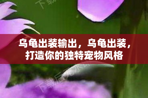 打造你的独特宠物风格图片