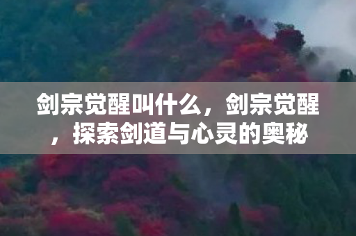 剑宗觉醒叫什么，剑宗觉醒，探索剑道与心灵的奥秘