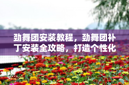 劲舞团安装教程,劲舞团补丁安装全攻略,打造个性化游戏世界 劲舞团安装教程,劲舞团补丁安装全攻略,打造个性化游戏世界