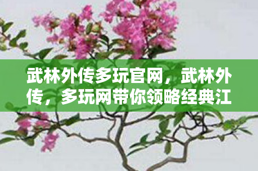 武林外传多玩官网,武林外传,多玩网带你领略经典江湖风情 武林外传多玩官网,武林外传,多玩网带你领略经典江湖风情