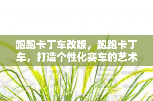跑跑卡丁车改版，跑跑卡丁车，打造个性化赛车的艺术