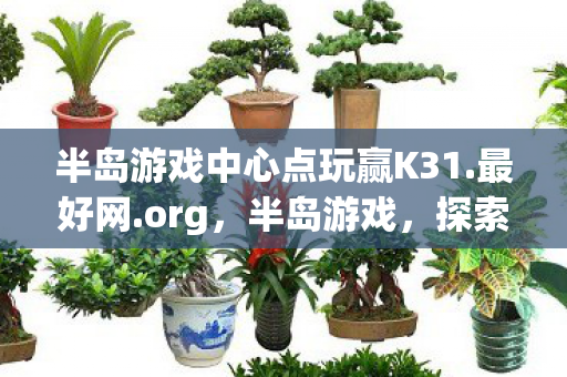 半岛游戏中心点玩赢K31.最好网.org，半岛游戏，探索未知，挑战自我