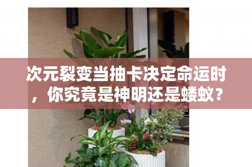 次元裂变当抽卡决定命运时，你究竟是神明还是蝼蚁？