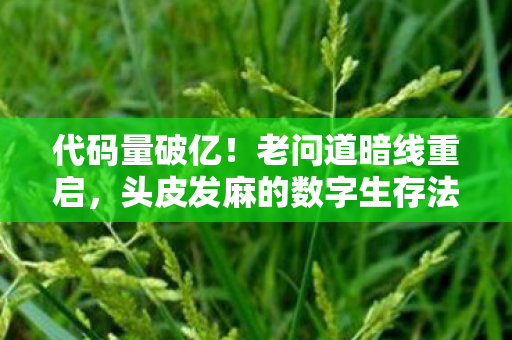 代码量破亿！老问道暗线重启，头皮发麻的数字生存法则