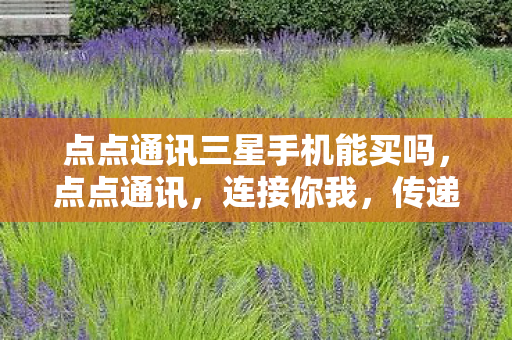 点点通讯三星手机能买吗，点点通讯，连接你我，传递价值