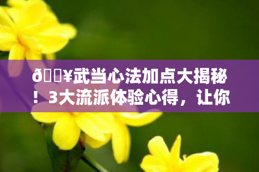 🔥武当心法加点大揭秘！3大流派体验心得，让你战力飙升！