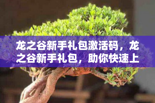 龙之谷新手礼包激活码，龙之谷新手礼包，助你快速上手的必备神器