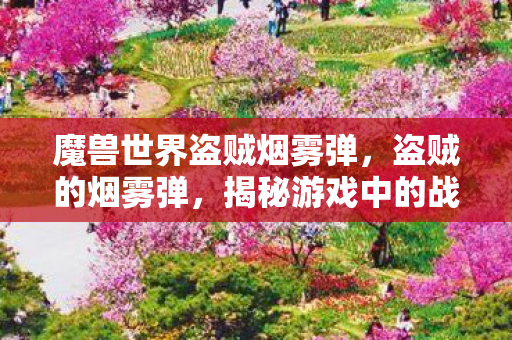 魔兽世界盗贼烟雾弹，盗贼的烟雾弹，揭秘游戏中的战术神器