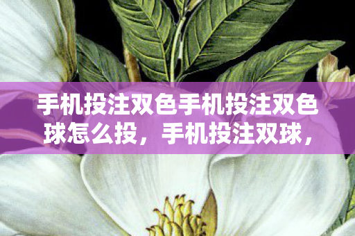 手机投注双色手机投注双色球怎么投，手机投注双球，便捷与风险并存的新型投注方式
