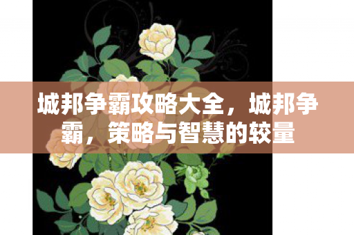 城邦争霸攻略大全，城邦争霸，策略与智慧的较量