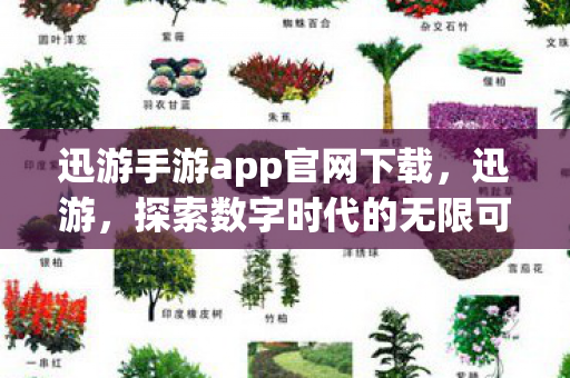 迅游手游app官网下载，迅游，探索数字时代的无限可能