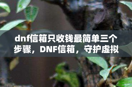 dnf信箱只收钱最简单三个步骤,DNF信箱,守护虚拟世界的珍贵记忆 dnf信箱只收钱最简单三个步骤,DNF信箱,守护虚拟世界的珍贵记忆