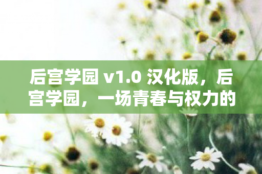 后宫学园 v1.0 汉化版，后宫学园，一场青春与权力的华丽交响曲