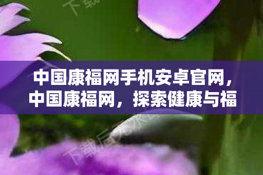 中国康福网手机安卓官网，中国康福网，探索健康与福祉的新篇章