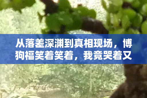 从落差深渊到真相现场,博狗福笑着笑着,我竟哭着又点了登录 从落差深渊到真相现场,博狗福笑着笑着,我竟哭着又点了登录