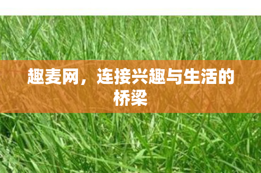 趣麦网,连接兴趣与生活的桥梁 趣麦网,连接兴趣与生活的桥梁