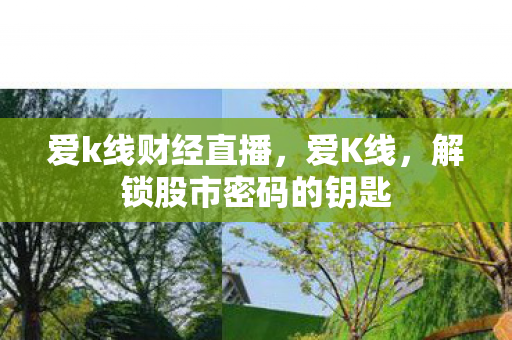 爱k线财经直播,爱K线,解锁股市密码的钥匙 爱k线财经直播,爱K线,解锁股市密码的钥匙