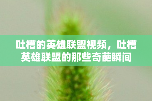 吐槽的英雄联盟视频,吐槽英雄联盟的那些奇葩瞬间 吐槽的英雄联盟视频,吐槽英雄联盟的那些奇葩瞬间