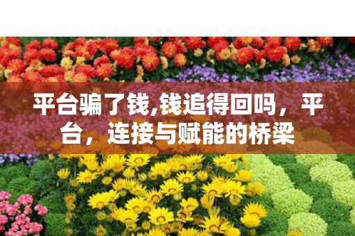 平台骗了钱,钱追得回吗,平台,连接与赋能的桥梁 平台骗了钱,钱追得回吗,平台,连接与赋能的桥梁