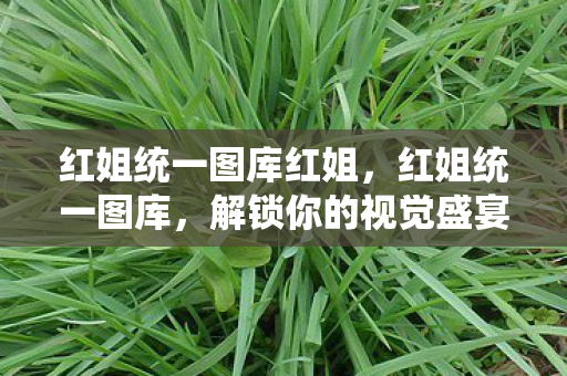 红姐统一图库红姐,红姐统一图库,解锁你的视觉盛宴 红姐统一图库红姐,红姐统一图库,解锁你的视觉盛宴