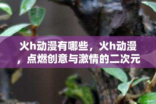 火h动漫有哪些,火h动漫,点燃创意与激情的二次元盛宴 火h动漫有哪些,火h动漫,点燃创意与激情的二次元盛宴