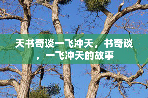天书奇谈一飞冲天，书奇谈，一飞冲天的故事