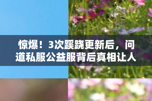 惊爆!3次蹊跷更新后,问道私服公益服背后真相让人后背发凉 惊爆!3次蹊跷更新后,问道私服公益服背后真相让人后背发凉