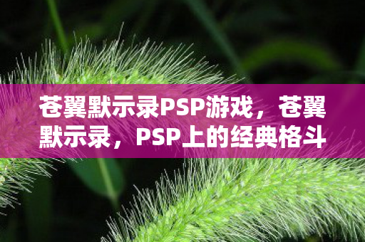 苍翼默示录PSP游戏，苍翼默示录，PSP上的经典格斗游戏