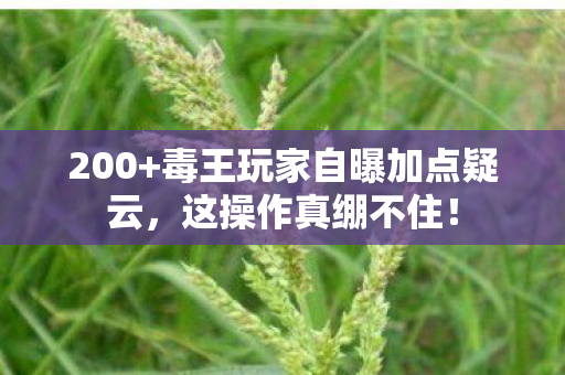 200+毒王玩家自曝加点疑云,这操作真绷不住! 200+毒王玩家自曝加点疑云,这操作真绷不住!