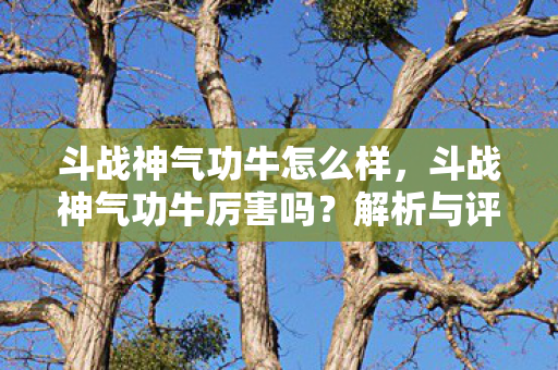 斗战神气功牛怎么样，斗战神气功牛厉害吗？解析与评测
