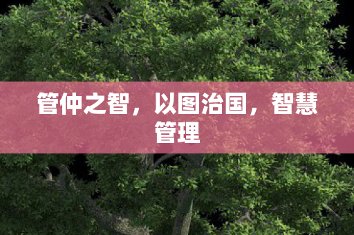 管仲之智,以图治国,智慧管理 管仲之智,以图治国,智慧管理